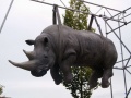 Носорог Потсдам Германия.JPG